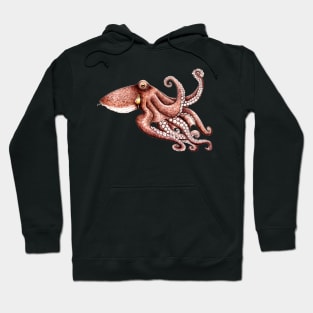 Octopus (Octopus vulgaris) Hoodie